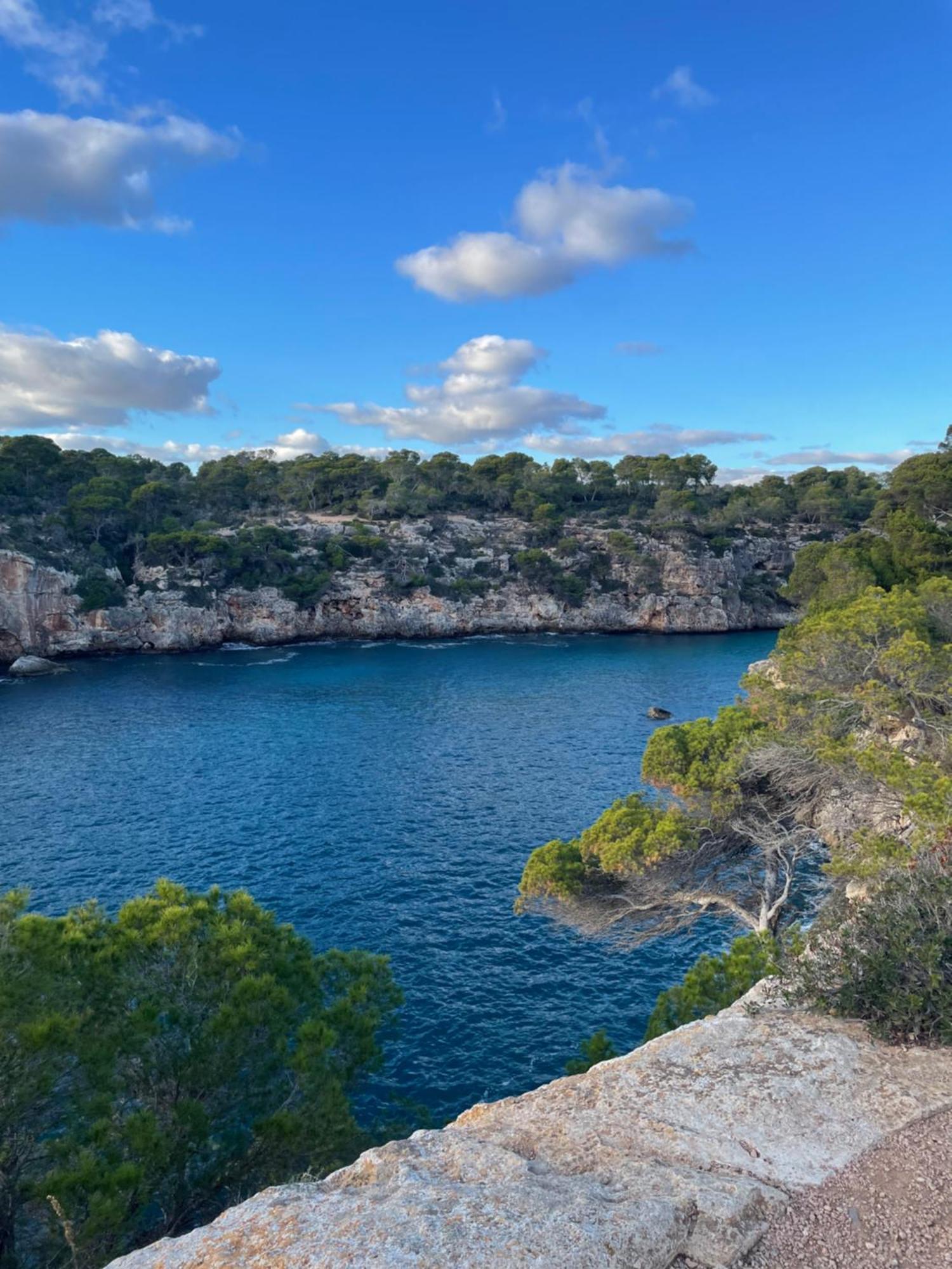 House Mallorca Hébergement de vacances Cala Pi (Mallorca)